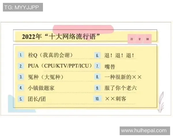 网络流行语的生命周期探究：从诞生到消逝的传播轨迹与社会影响